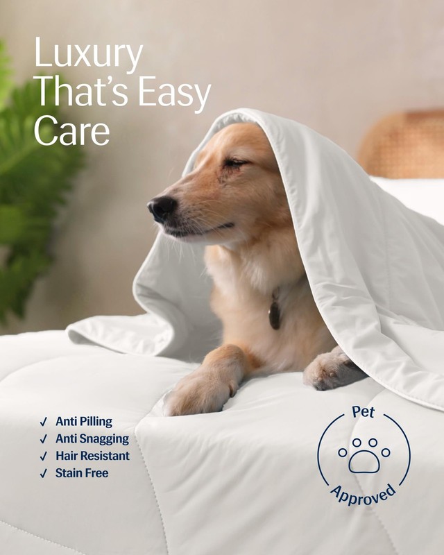 ® Evercool® Cooling Comforter, Twin/Twin XL, Blanket for Hot Sleepers, All Se... gallery
