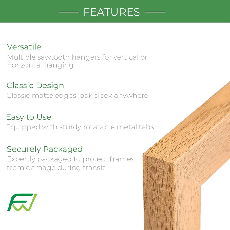 FrameWorks 16” x 20” 2-Pack Black Back-Loading Wooden Poster Frame with gallery