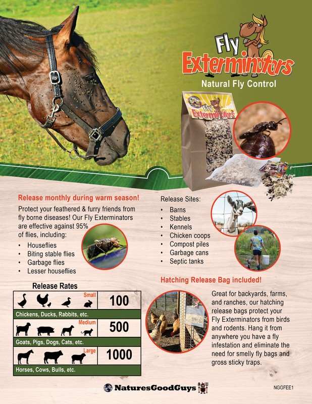 NaturesGoodGuys - Fly Exterminators gallery
