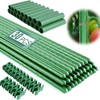 Garden Stakes 16 Inch 30 Pack, Diy 4ft 5ft 6ft 7ft 8ft Tomato Stakes Plastic ... gallery