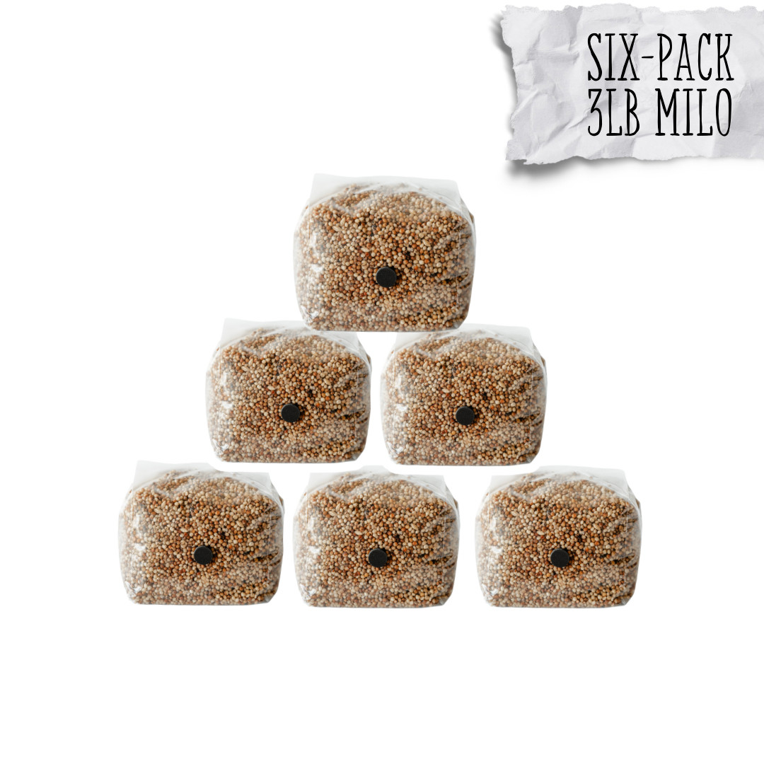 6 Pack | 3lb Milo Sorghum Grain Spawn gallery