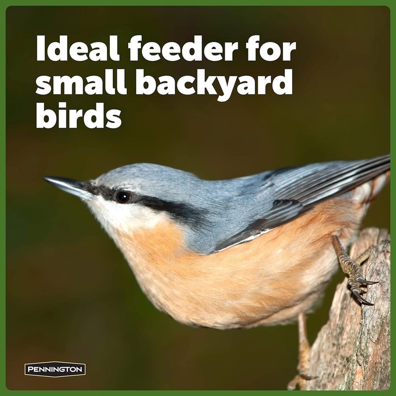 Efficient Seed Distribution Songbird Lantern Feeder – Red, Easy to Hang, 2 Pack gallery
