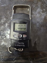 Digital Luggage Scale Hand Held Checked Airport Baggage Bag Carry On LCD 110 lb.