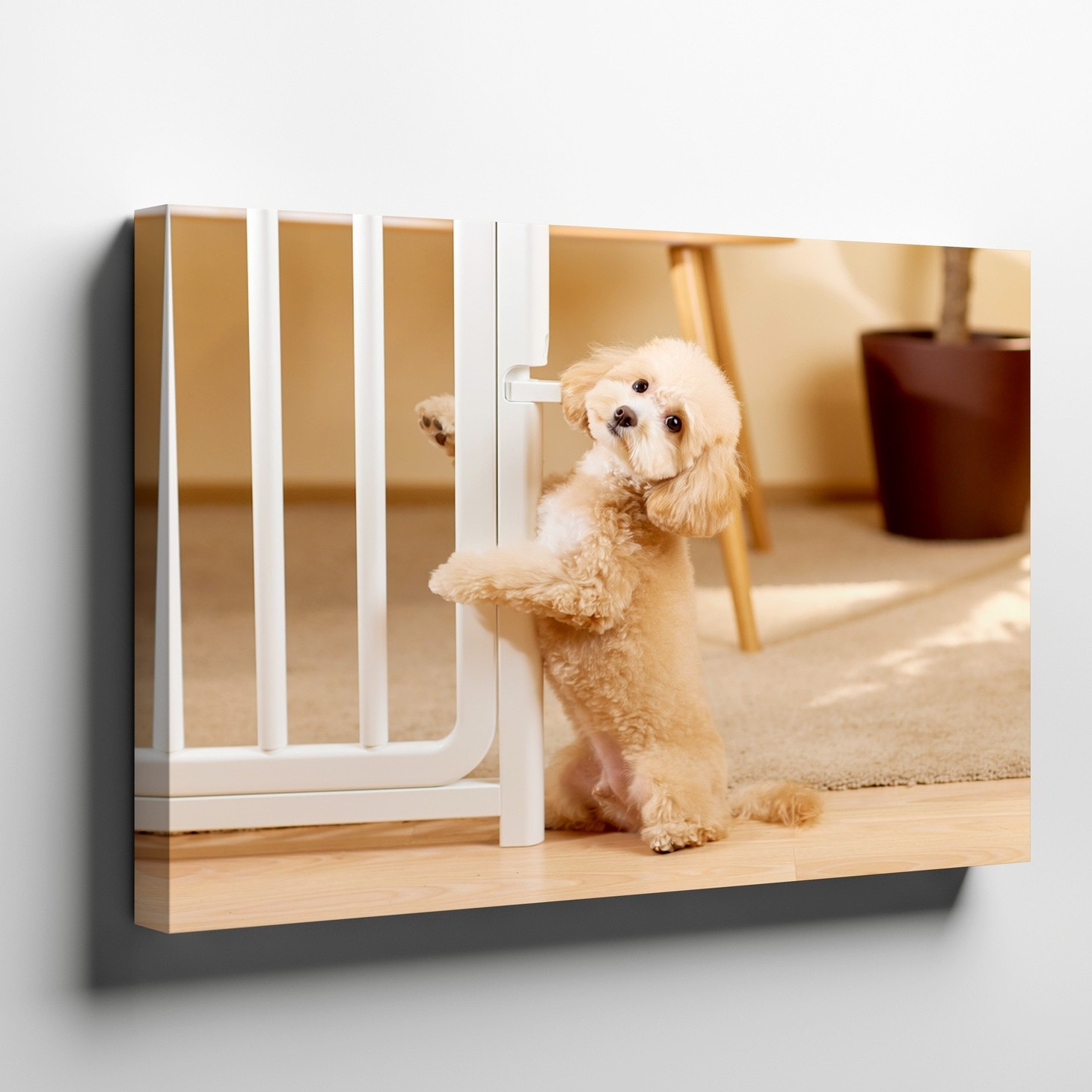 Small Beige Dog Holding Baby Gate Canvas Wall Art Print Cute Pet Decor gallery