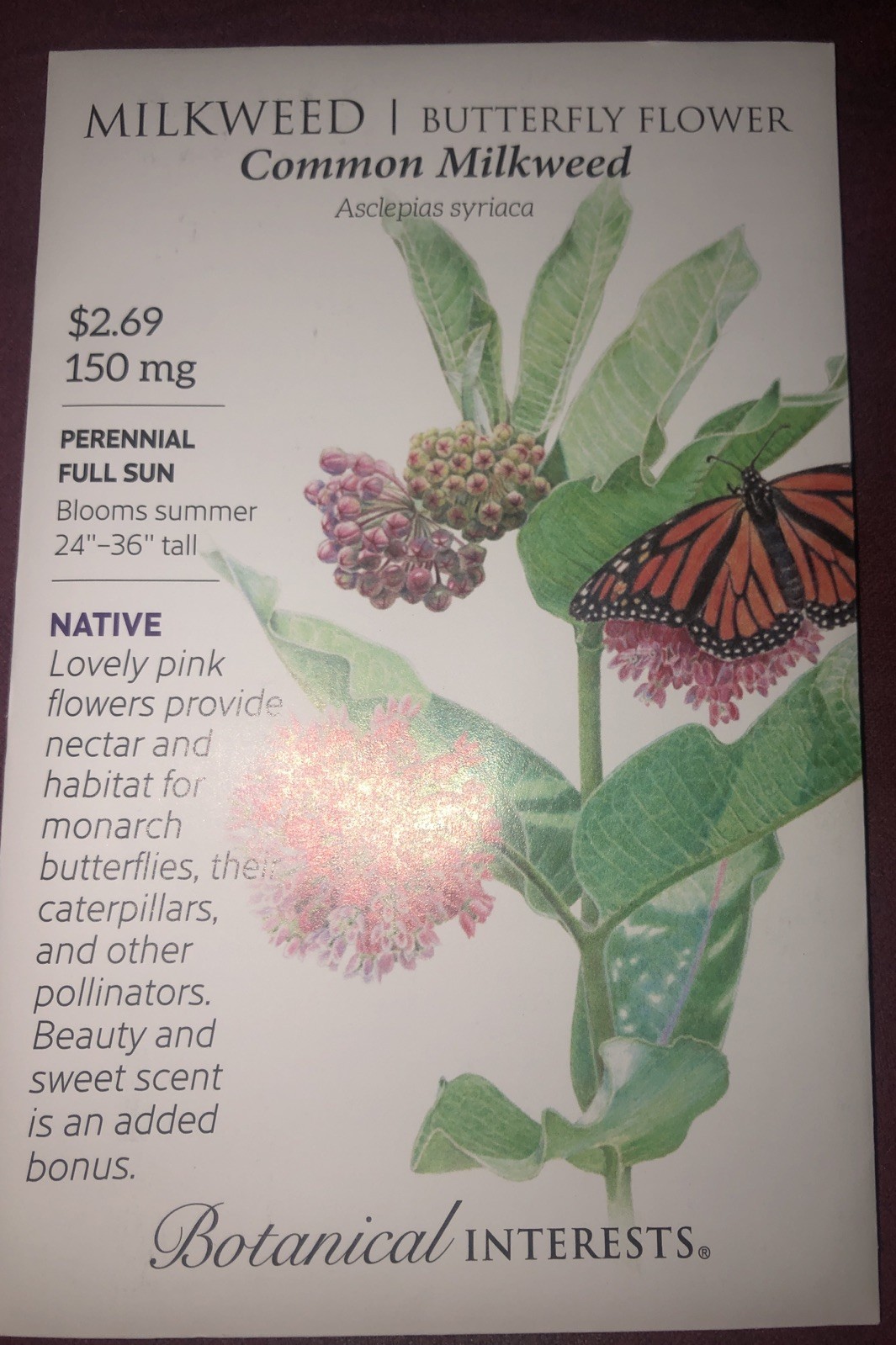 Milkweed/ Butterfly Flower Heirloom Seeds Botanical Interests Exp. 12/2024 gallery