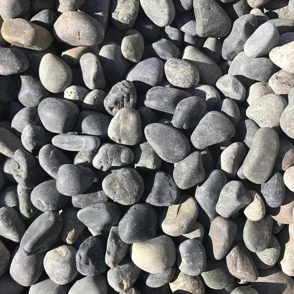 3/4 In. to 2 In. Small Black Mexican Beach Pebble (500 Lbs. Mini Sack) gallery