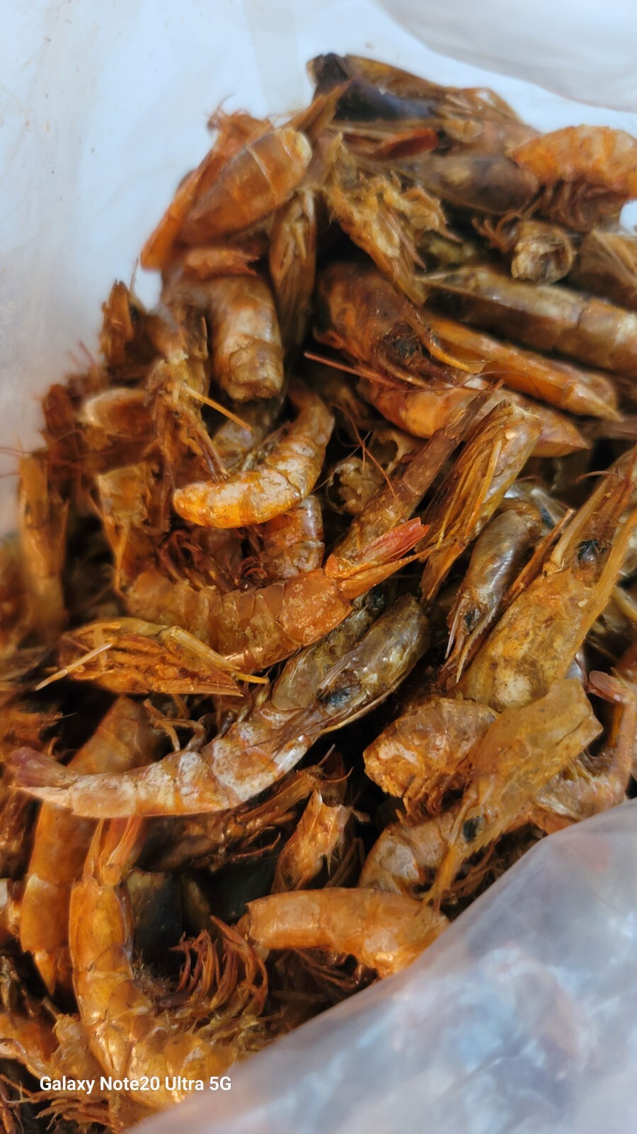 Organic Dried Shrimp, Opolo Very Clean , No Sand .African Shrimp. Big Bag. gallery