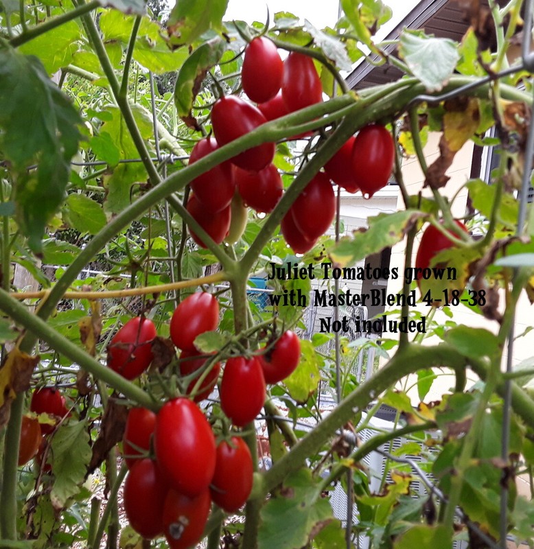 Masterblend Tomato & Vegetable Fertilizer 4-18-38 - 1 lb gallery