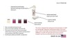Hydrogen Peroxide H2O2 Test Strips, 0-400 ppm [Vial of 100 Strips] gallery