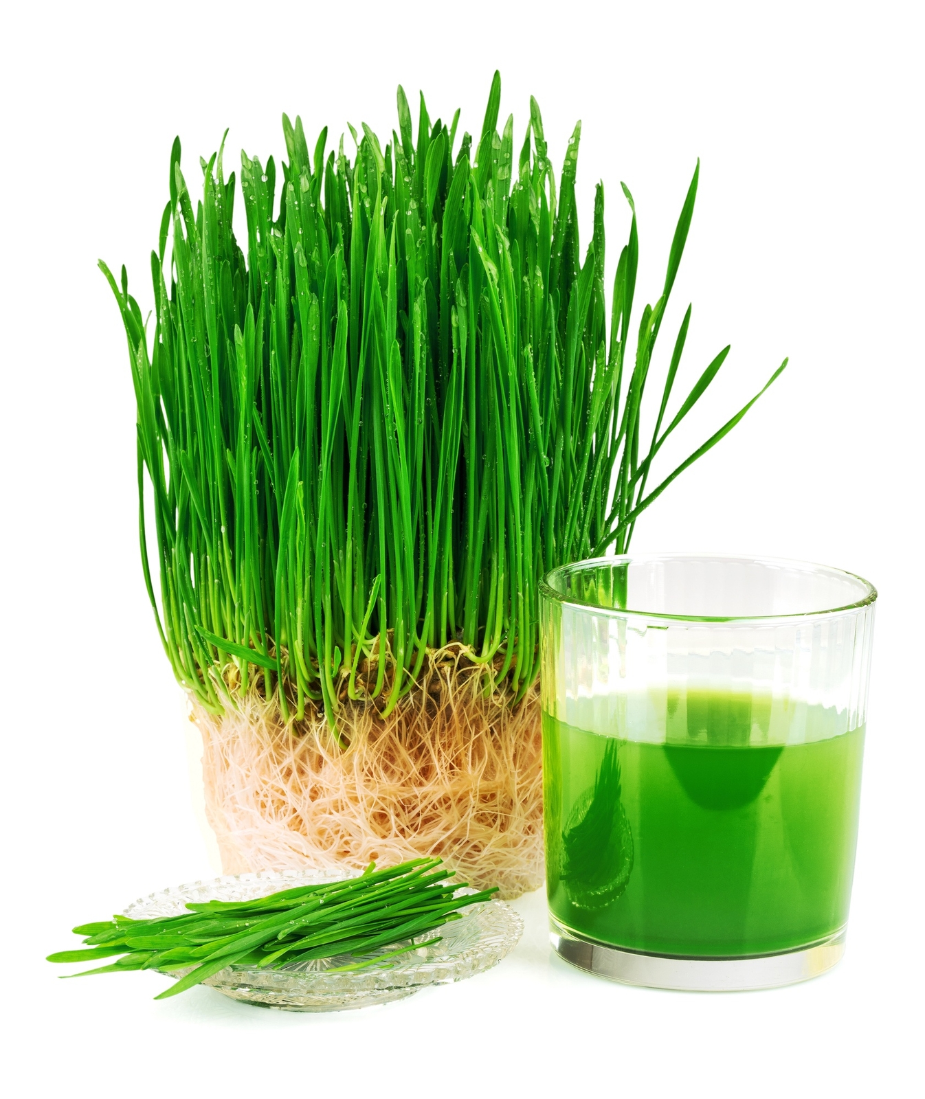 16 oz Wheatgrass gallery