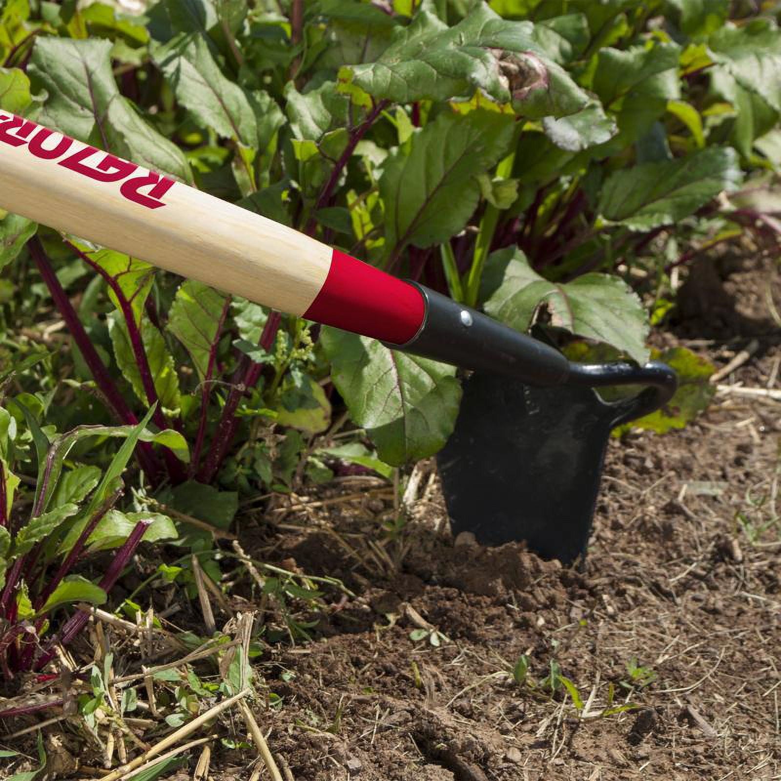 Razor-Back Beet 57.75 in. L Hoe gallery