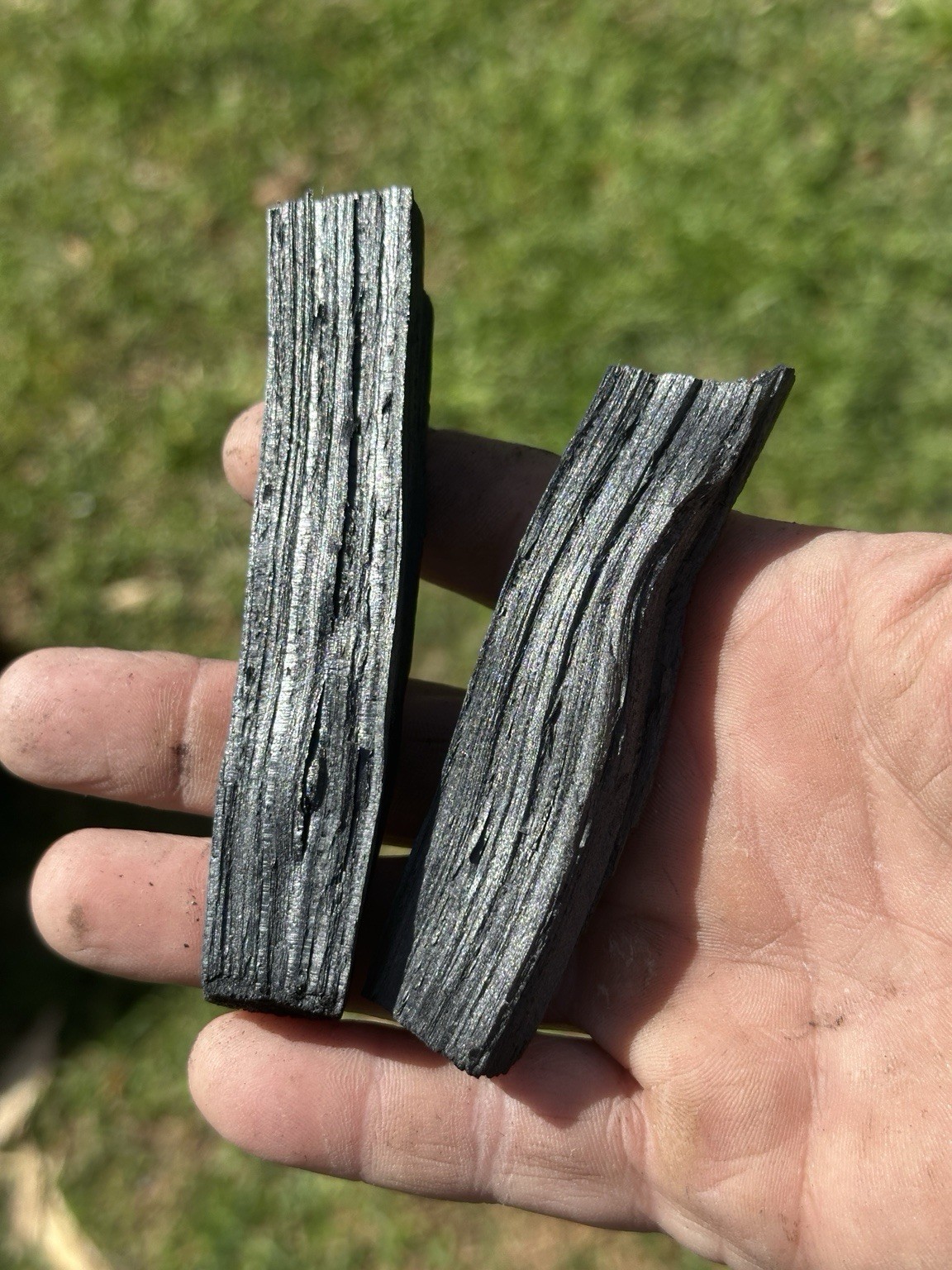 Premium Biochar for Soil Amendment & Plants – 1lb Uncharged – Process Verified gallery