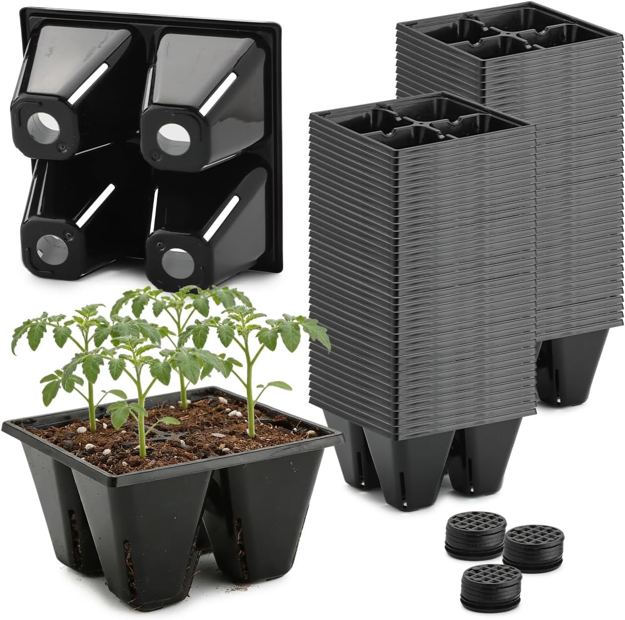 80 Pack Reusable 4-Cell Seed Starter Tray for Seedlings, Easy Watering Seed Star gallery