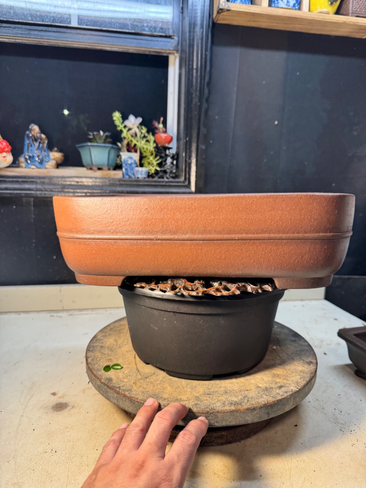 Bonsai pot Tokoname Rectangle Shape Brown Unglazed. Yamaaki gallery