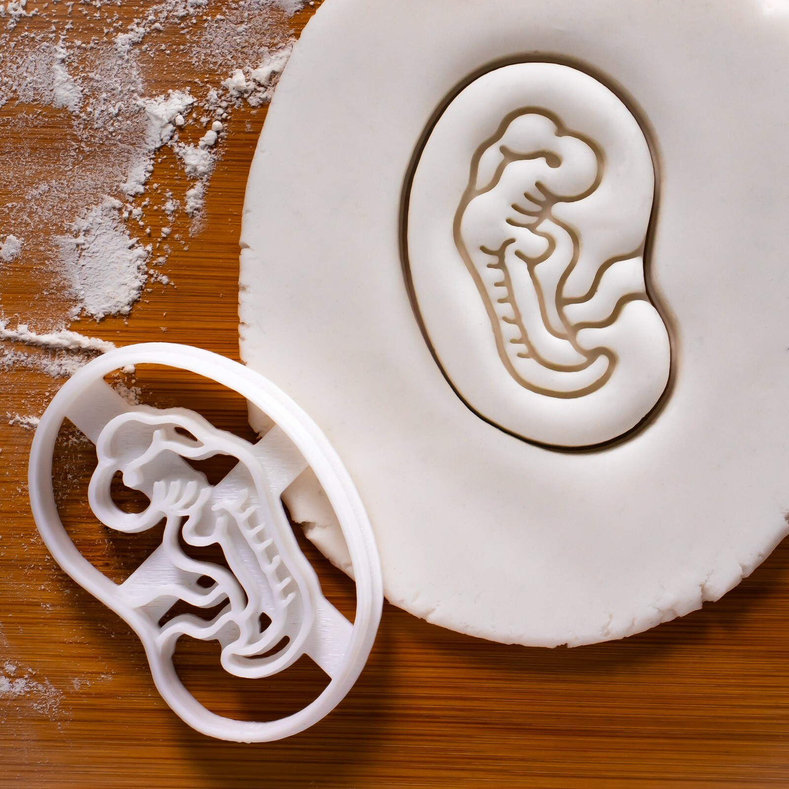 4 Weeks Fetal Development Cookie Cutter pregnancy fetus baby pregnant obstetrics gallery