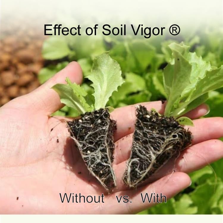 Potassium Super Absorbent Polymers: Moisture and Fertilizer Retention for Pla... gallery