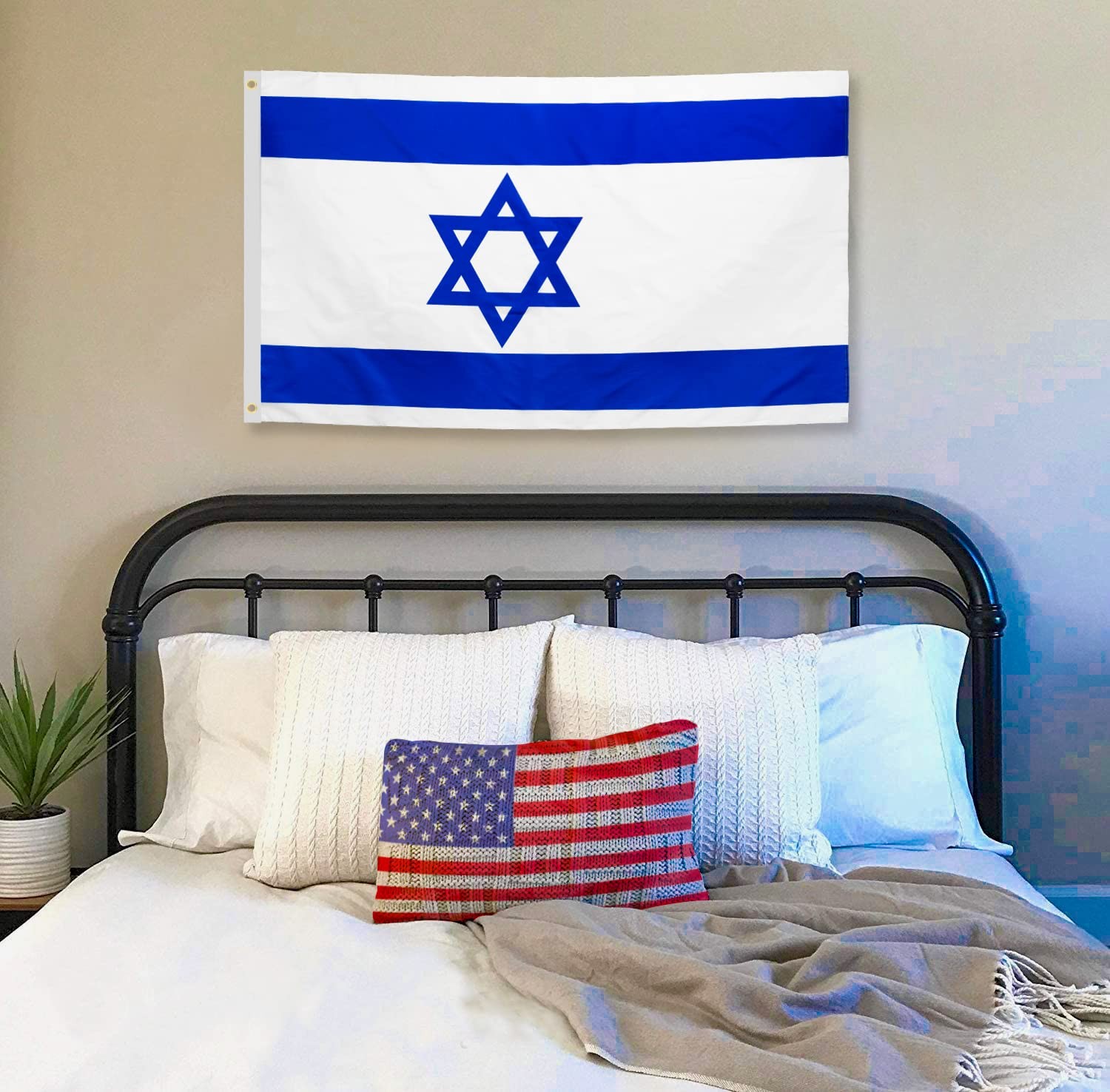 DANF Israel Flag 3x5 Ft Thick Polyester, Fade Resistant, Brass Grommets, Canv... gallery