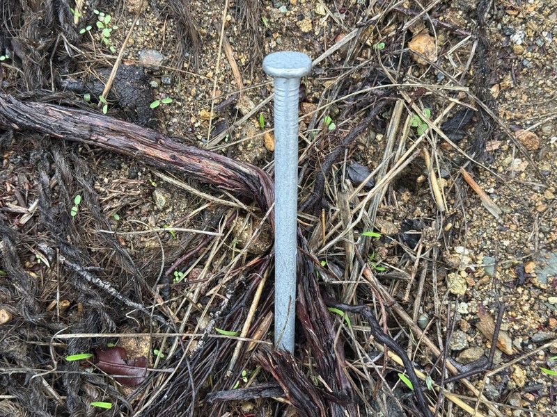 Landscape Spike Nails - Galvanized Timber Spikes gallery