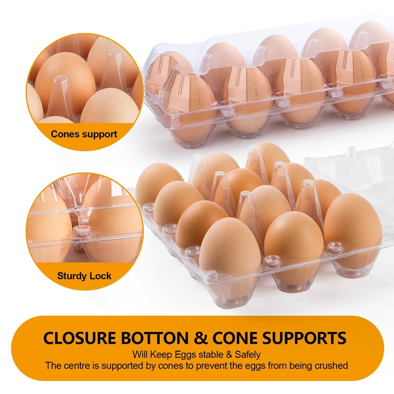 48 Pack Clear Empty Egg Cartons 12 Count 1 Dozen Plastic Holder Reusable gallery