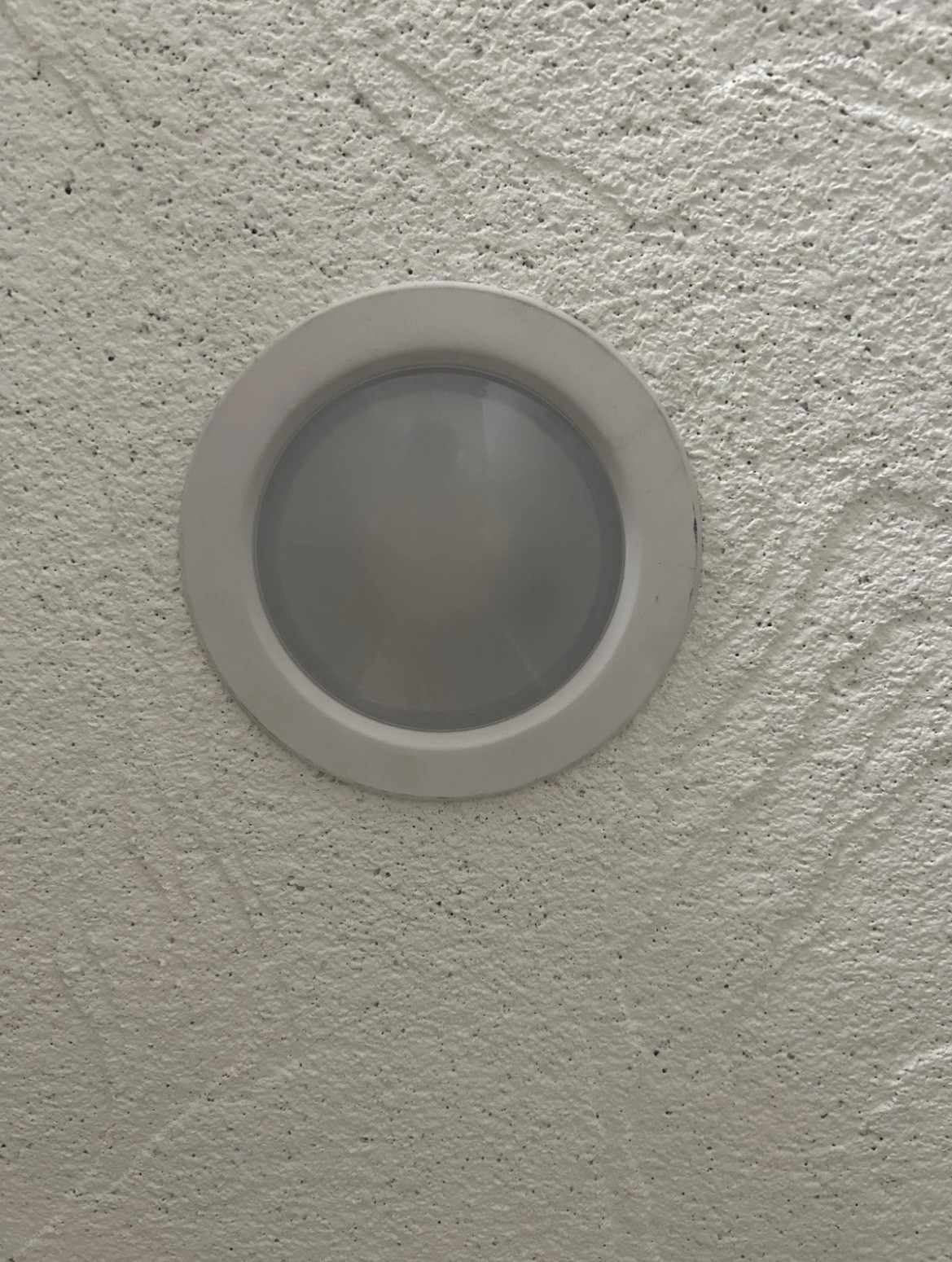 Replacement Bulbs TL23005B (6 bulbs per box) gallery
