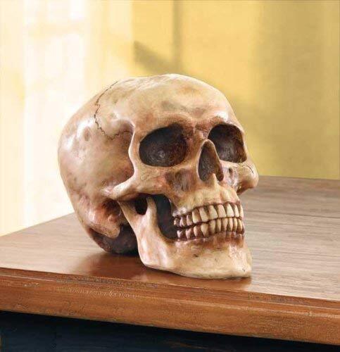 Grinning Highly Realistic Replica Human Skull Statue Home Décor 6.5x4.25x4.6" gallery