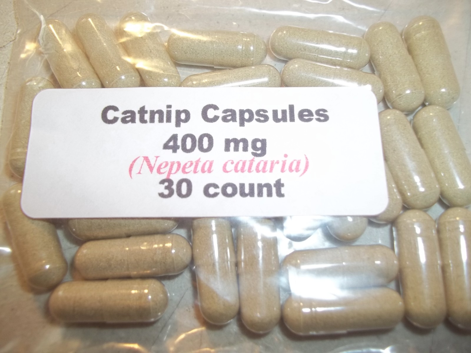 Catnip Leaf Powder Capsules ( Nepata Cataria ) 400 mg. - 30 Count gallery