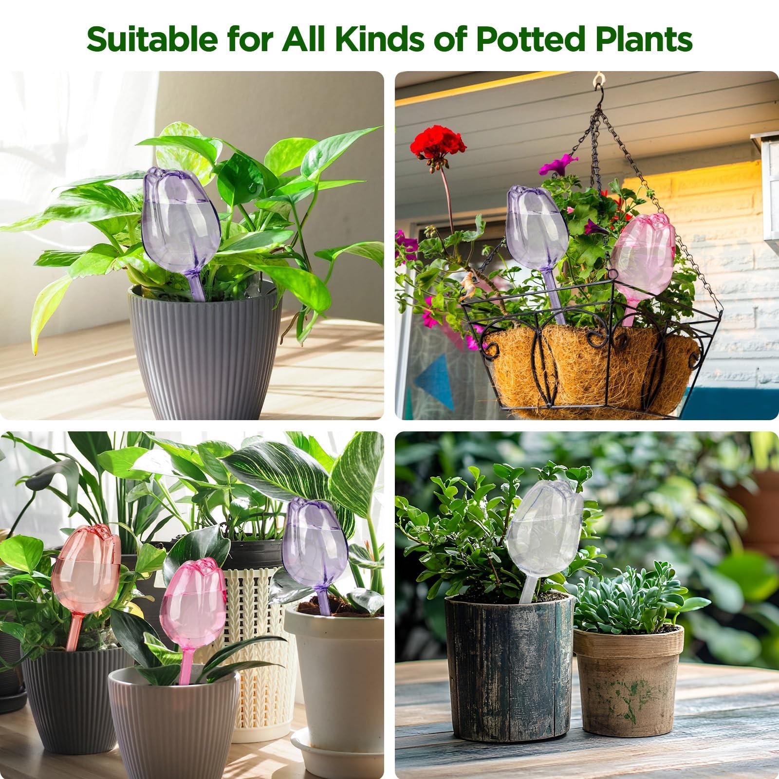 4 Pcs Watering Globes Bulbs for Indoor Outdoor Plants,Tulip Plant Watering Gl... gallery