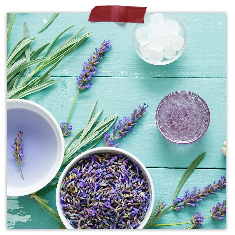 Organic Lavender Petals gallery