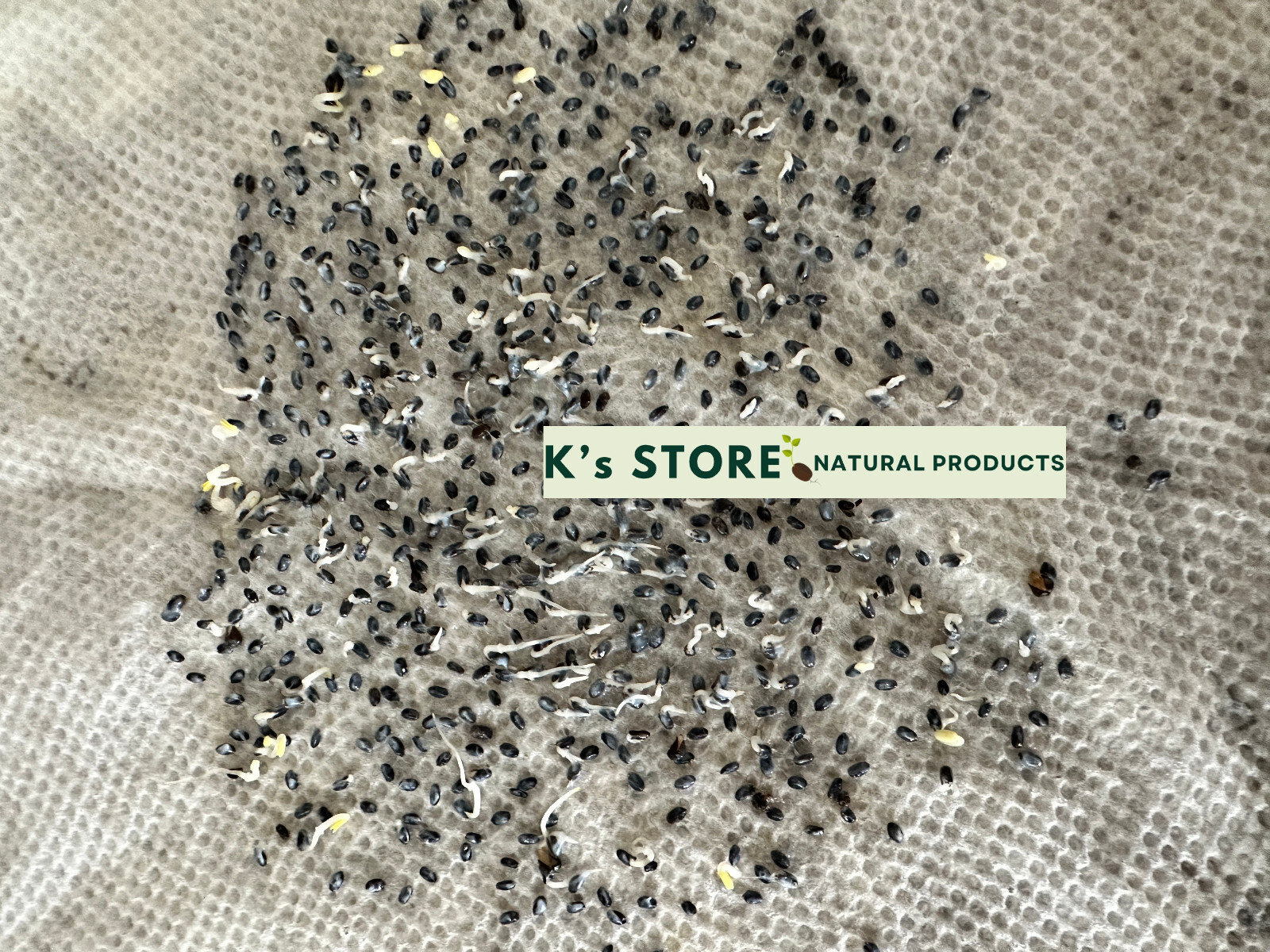 Thai Basil Ocimum Basilicum/ Lime Basil Seeds, Hạt Giống Húng Quế / Rau É Trắng gallery