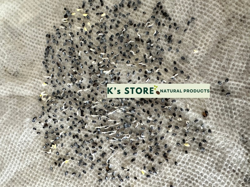 Thai Basil Ocimum Basilicum/ Lime Basil Seeds, Hạt Giống Húng Quế / Rau É Trắng gallery