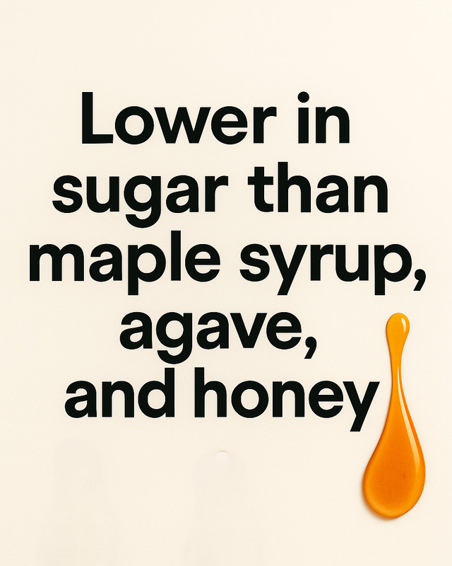 100% Organic Date Syrup | One Ingredient | 1 Gallon (4.9kg) gallery