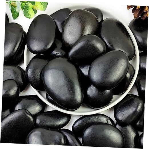 0lbs Pebbles for Plants, 2-3 Inch High Polished Natural Large 10 Pounds 1 Black gallery