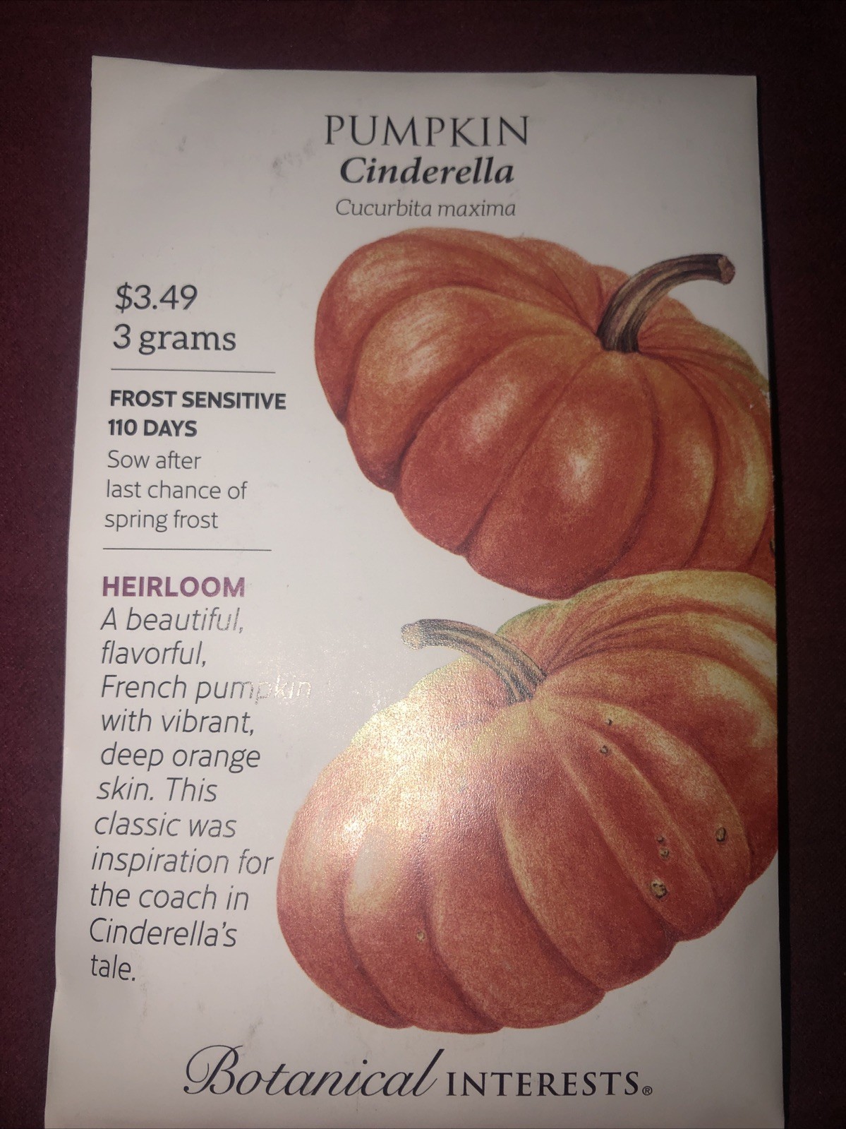 Pumpkin Cinderella Heirloom Seeds Botanical Interests Hybrid Exp. 12/2024 gallery