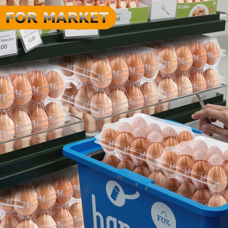 48 Pack Egg Cartons Cheap Bulk 12 Count 1 Dozen Clear Empty Chicken for Eggs gallery