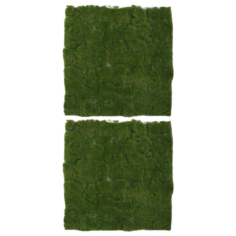 2Pcs Simulation Moss Turf Green Artificial Moss for Landscaping and Home Decor gallery