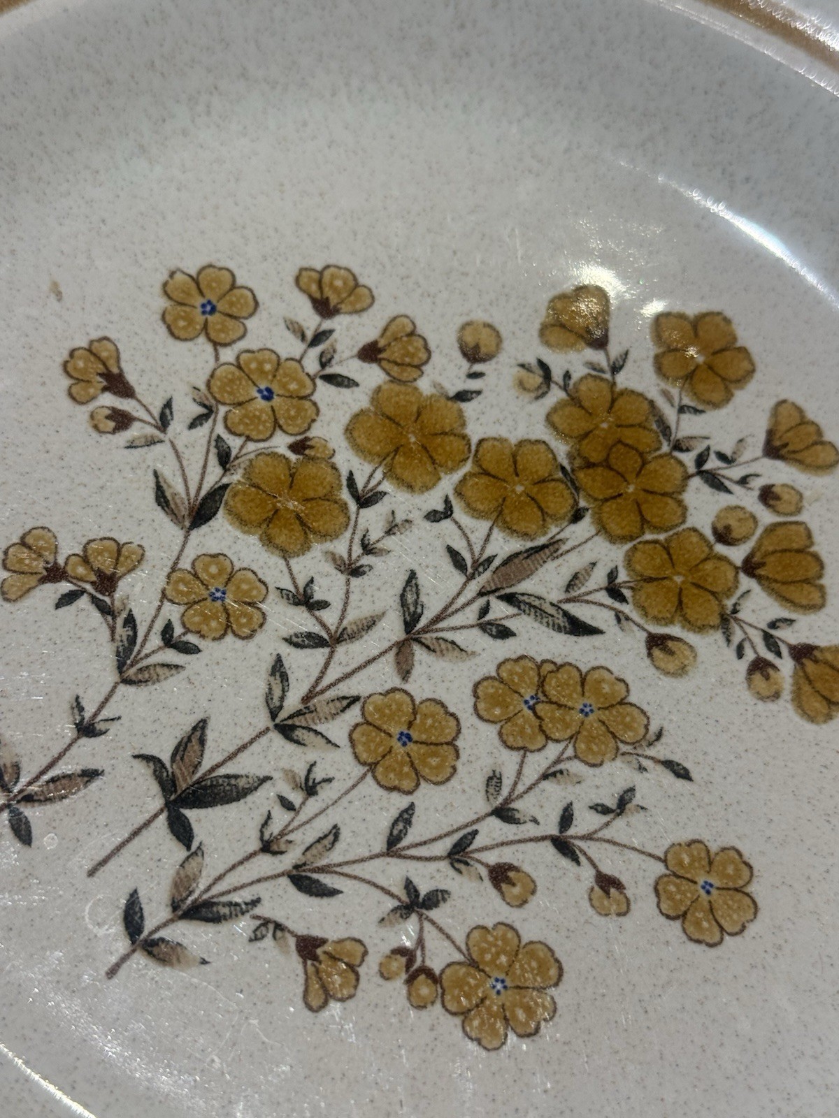 Colorstone Stoneware Floral Round Salad Plate Beige Speckled Yellow Glossy gallery