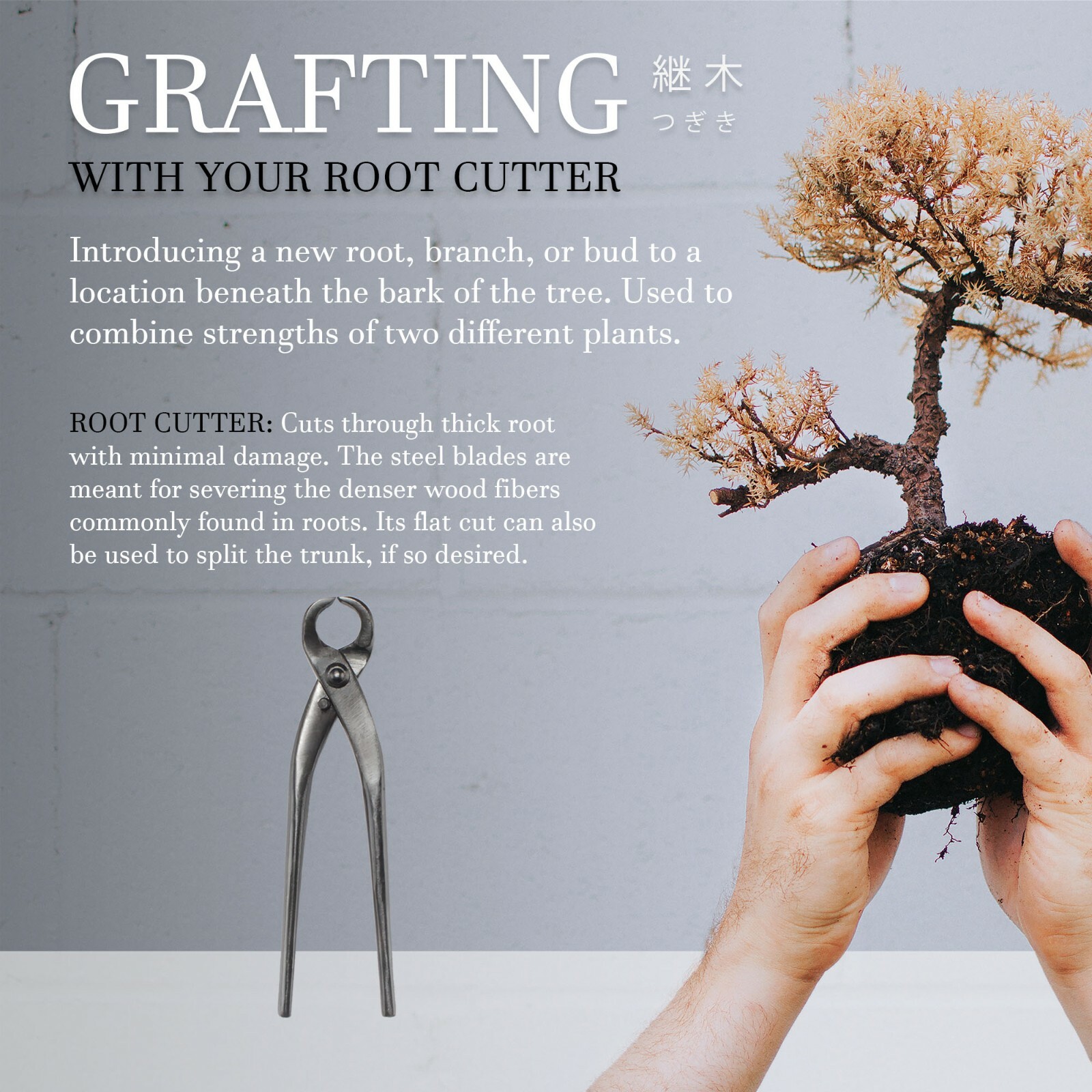 BambooMN - 7.5" Bonsai Root Cutter gallery