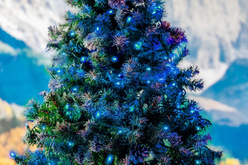 100 Light LED Christmas Mini Light Set, Patio Light, Teal, Green Wire, 34’ gallery
