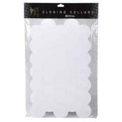 EZCLONE Cloning Collars 35pcs White 4 Pack total of 140