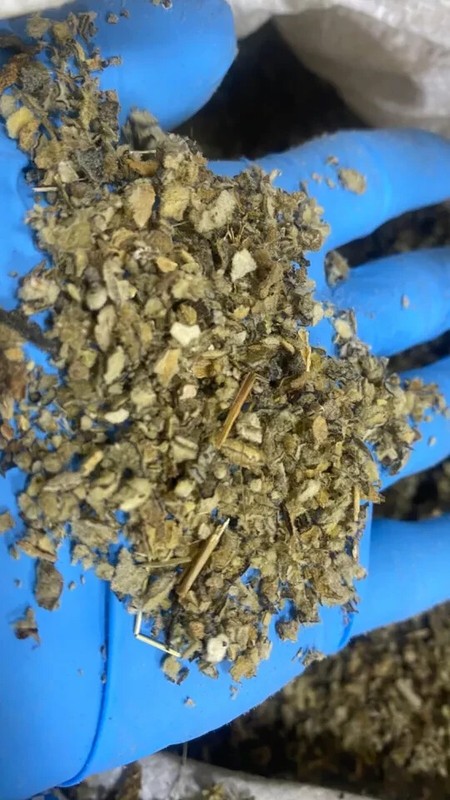 Mullein Leaf - Bulk Cut c/s Organic Healing Medicinal Lung Herb - 16 oz's ounces gallery