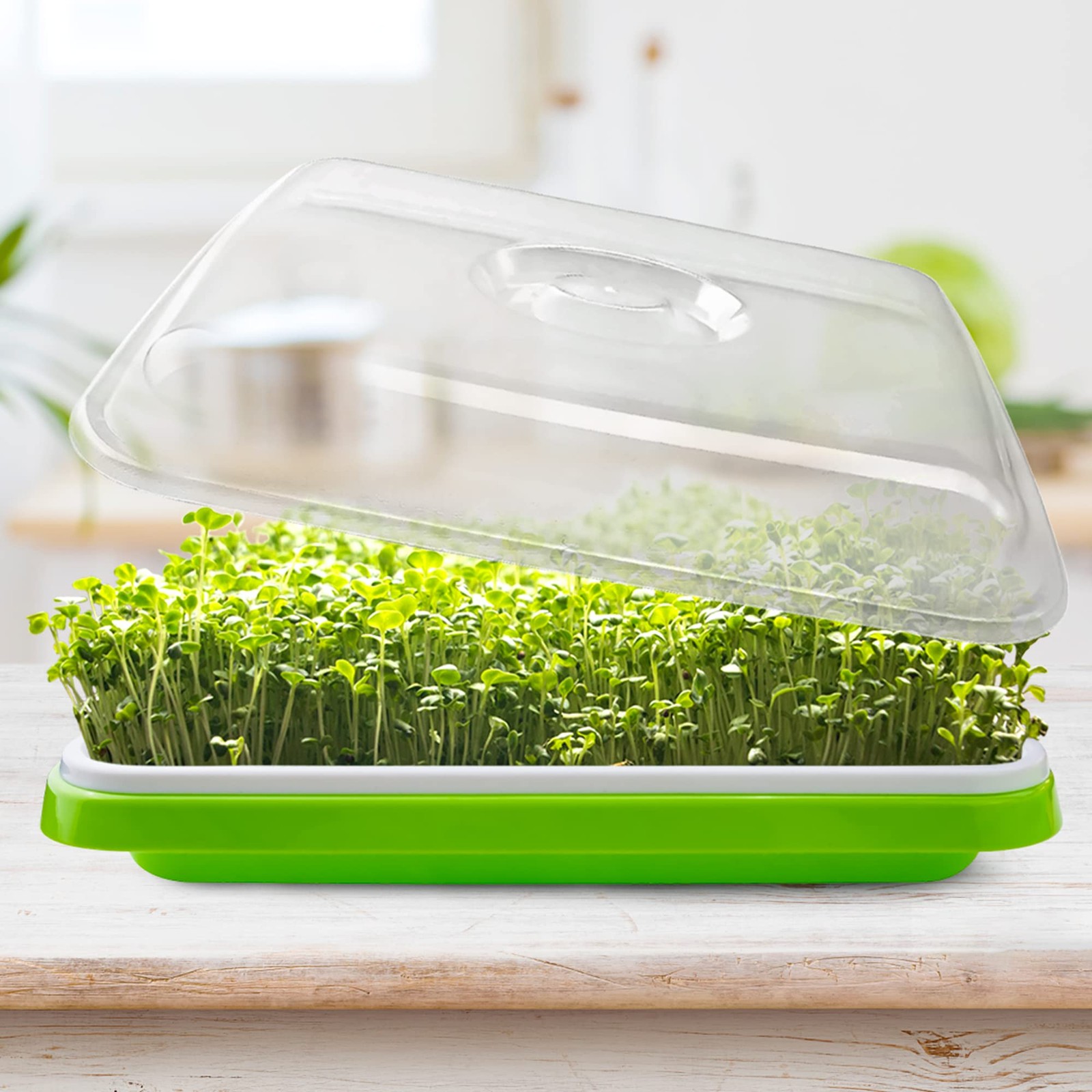 UCandy Seed Sprouter Tray with Drain Holes,Seed 5 Pack With Lid-light Green gallery