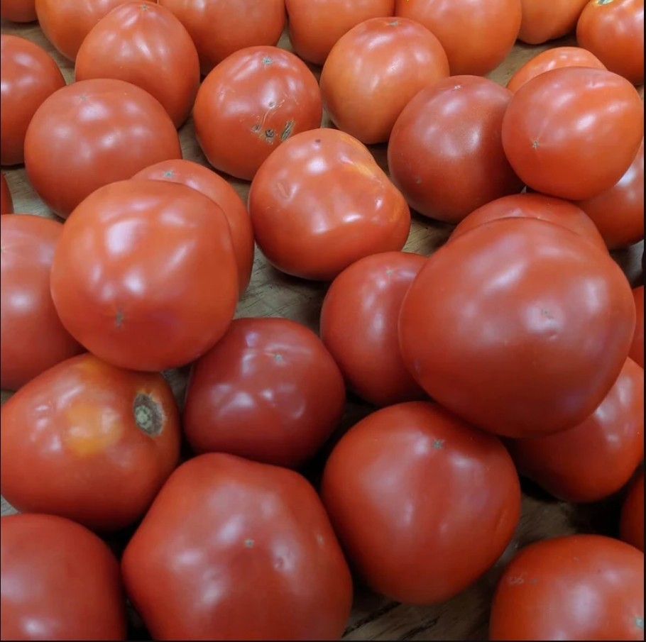Tomato Powder-than using our Tomato Powder processed from harvest red tomatoes. gallery
