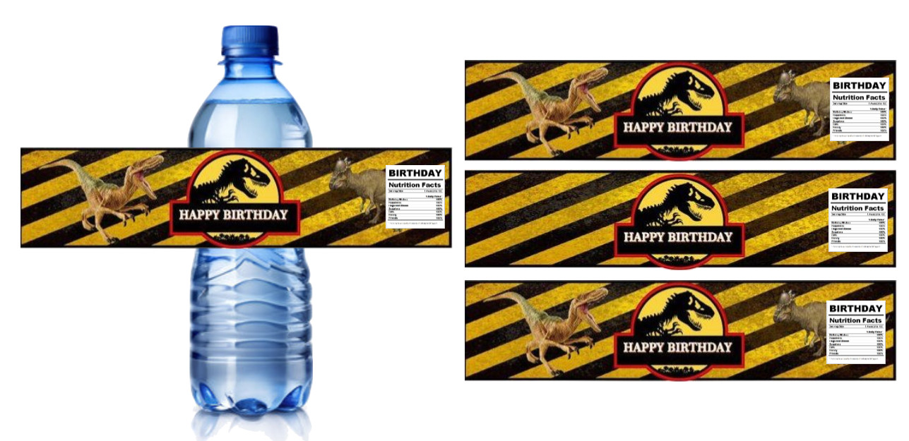 Dinosaur Theme Birthday Water Bottle Labels, Happy Birthday Design, 8.5x2 inches gallery