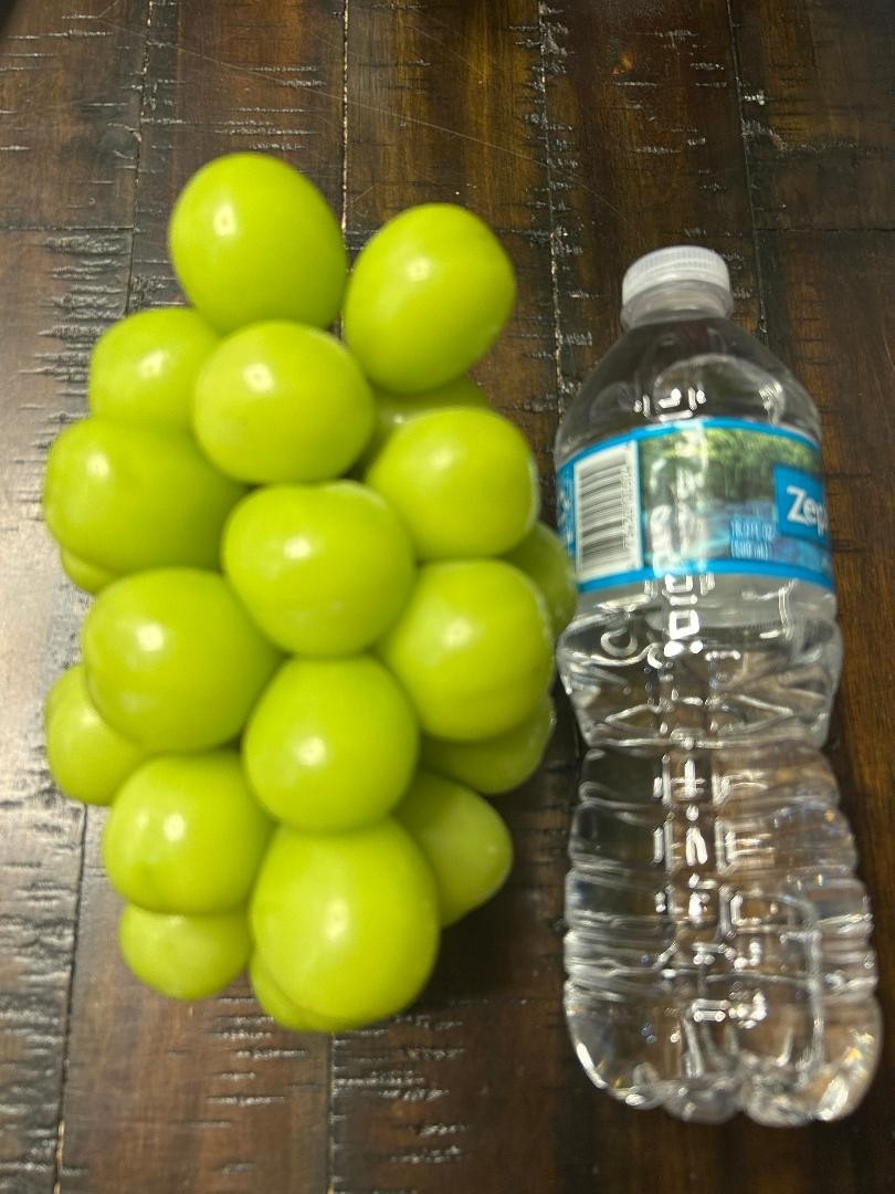 Shine Muscat Seedless grape- 3 fresh cuttings, no roots, rooting or grafting gallery