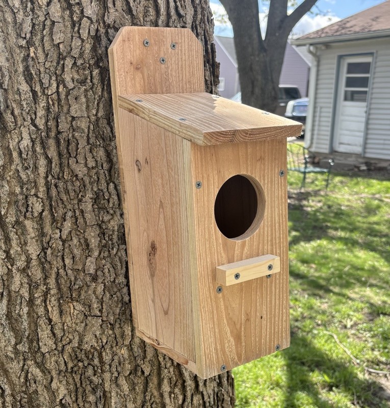 Large Cedar Owl Nesting Box House Screech Saw Whet Owl For Tree Fully Installed gallery