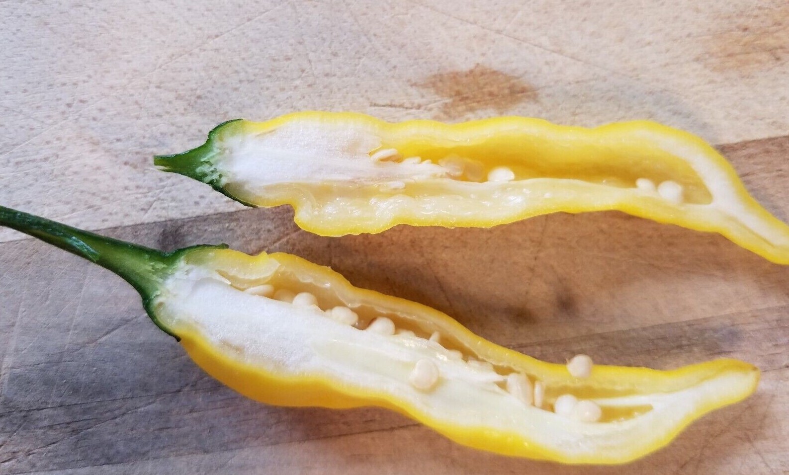 Lemon Drop / Aji Limon Pepper (25 Seeds) Free Shipping,crisp and spicy! gallery