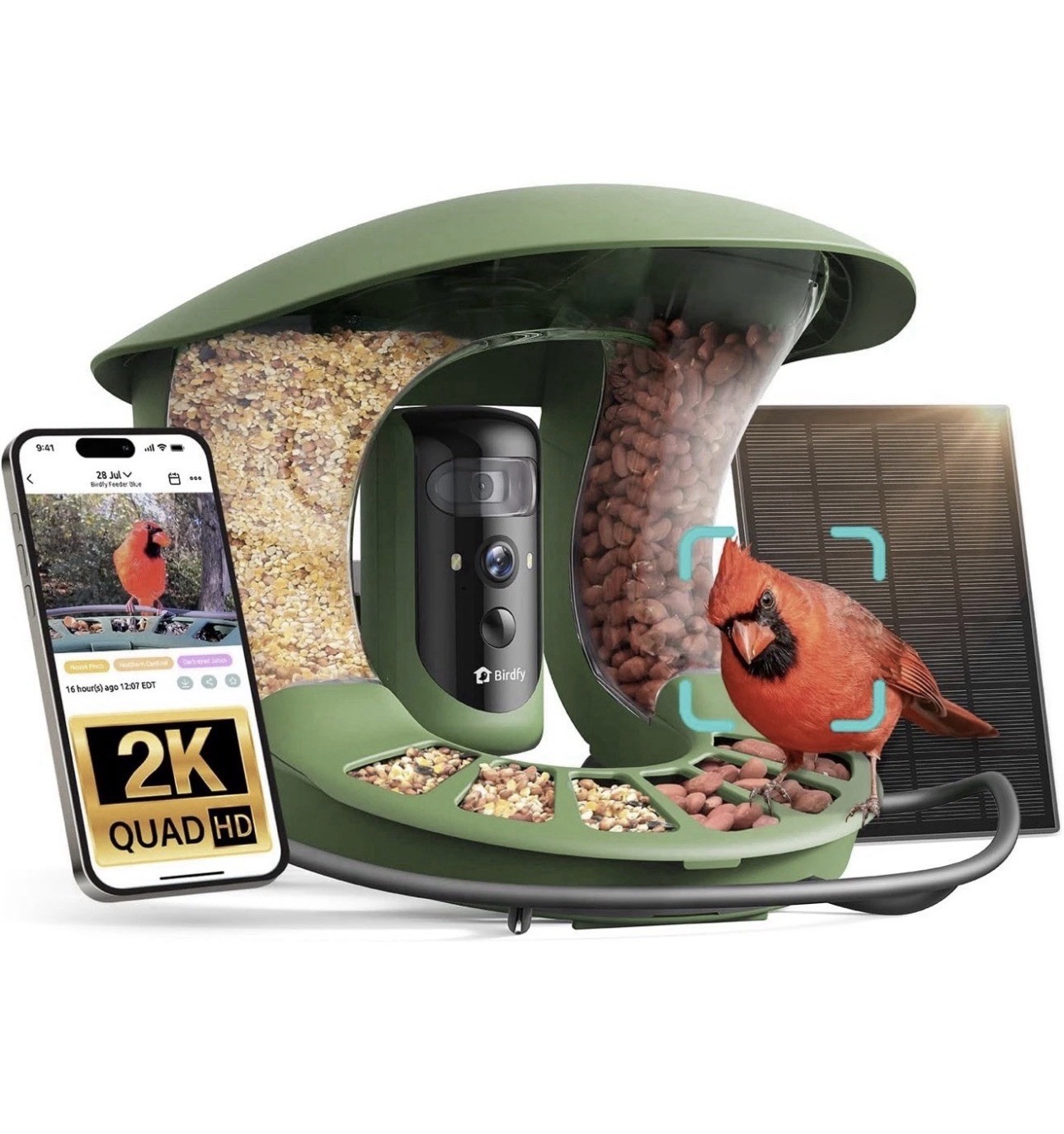 Birdfy Smart Bird Feeder 2 Pro Dual-Lens Camera Solar Powered Green Seed gallery