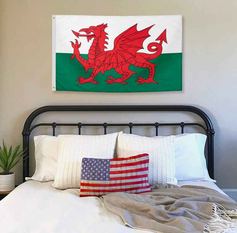 DANF Wales Flag 3x5 Ft Thick Polyester, Fade Resistant, Brass Grommets, Canvas H gallery