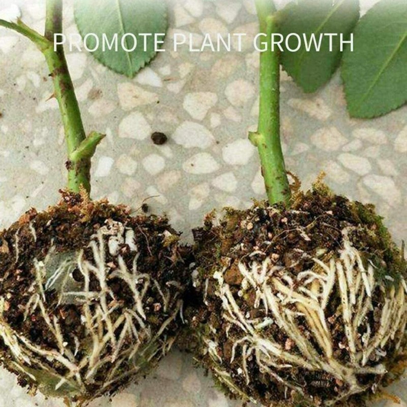 10/20Pcs 8CM Plant Root Craft Boxes High Pressure Propagation Layering Pod Balls gallery