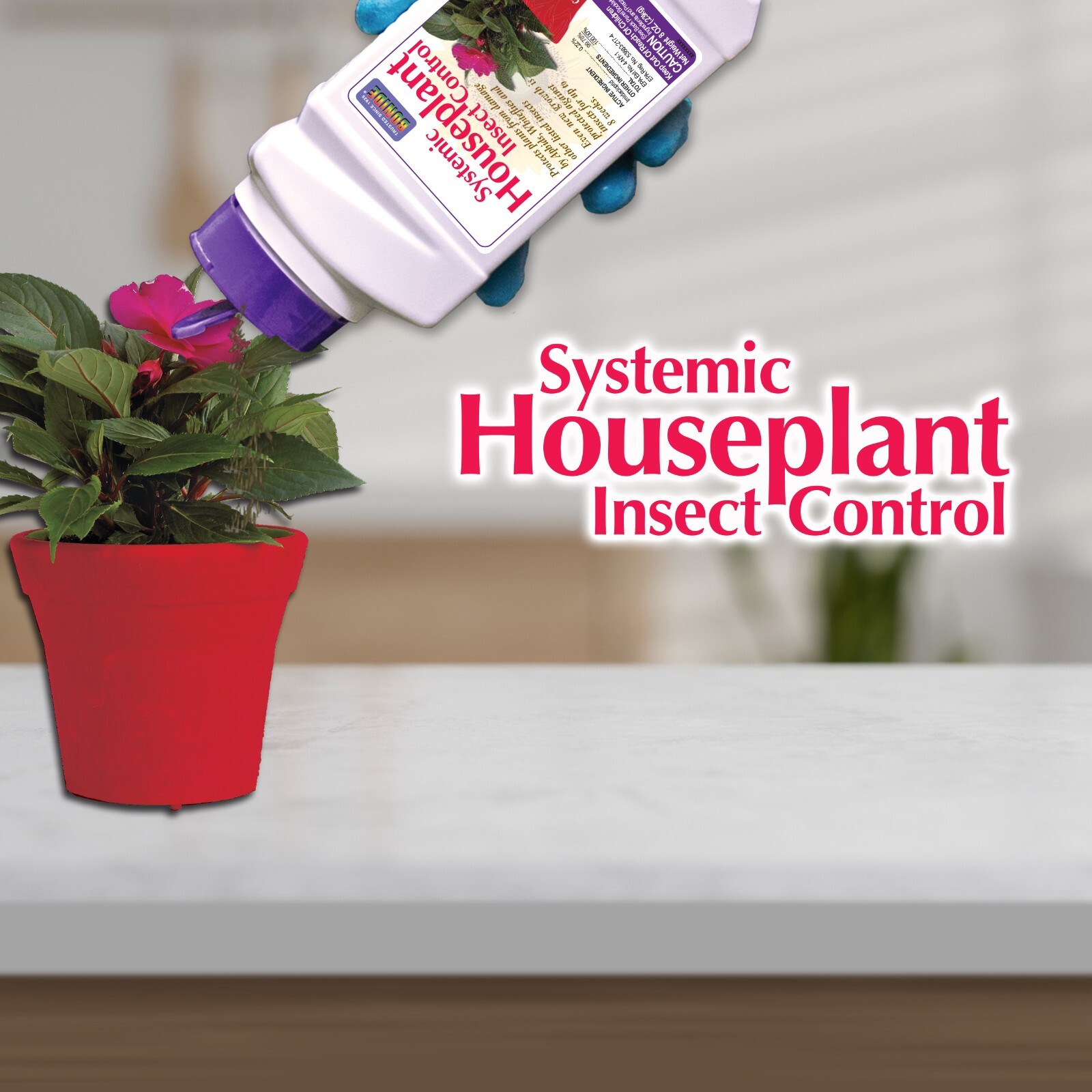 Bonide Systemic Houseplant Insect Control Ready To Use Granules For Indoor 8 oz gallery